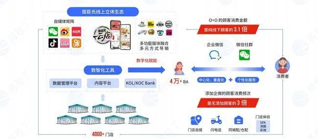 三倍日付广告联盟，重塑数字营销新生态的共赢模式