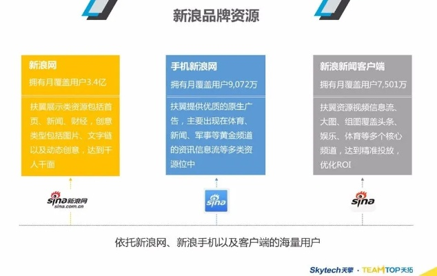 5173广告联盟，打造高效广告投放，助力企业精准营销