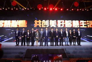 大神联盟，汇聚智慧与力量，共筑梦想新篇章