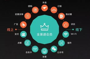 猫爪传媒，解锁数字时代的创意传播新姿势