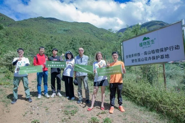 草钻联盟，探索自然与科技的和谐共生