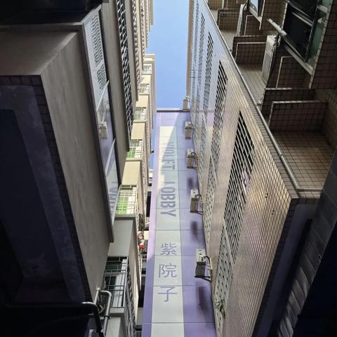 柠盟，以智慧与创意，共筑绿色未来
