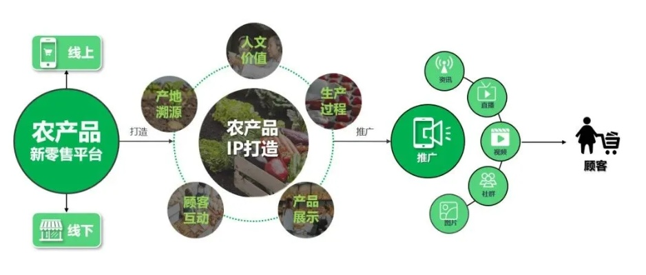 数码荔枝推广联盟，重塑数字时代农产品营销新生态