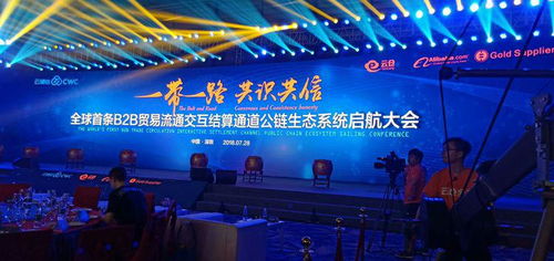 大富联盟，共创财富新纪元，携手共赢未来