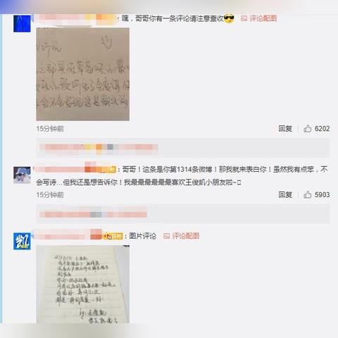 1314广告联盟，打造高效营销，引领数字时代广告新风尚