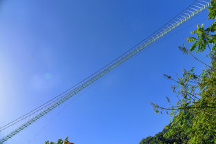 易红交友联盟，搭建情感桥梁，共绘多彩人生