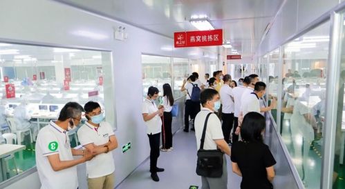 久伴网络传媒，打造数字时代下的情感连接桥梁