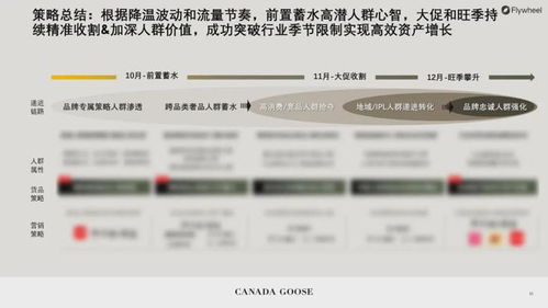 菠萝广告联盟，打造高效广告平台，助力品牌实现营销新突破