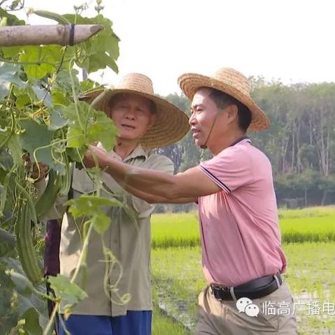 老站长联盟，互联网时代的守望者与传承