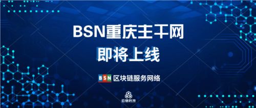 蜗牛网盟，慢生活下的网络联盟新生态