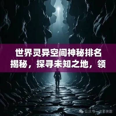 奇盟，探索未知世界的神秘联盟