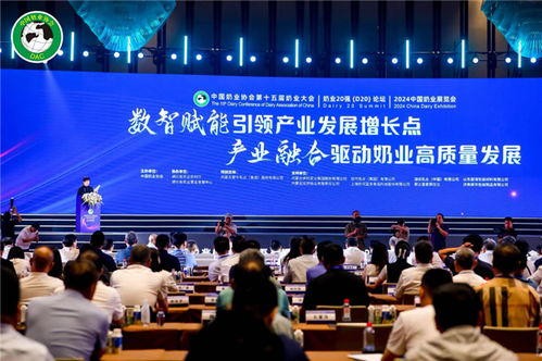 任鹏移动传媒，重塑传媒生态，引领数字时代新风尚
