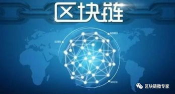 金诺芬联盟，重塑全球金融版图的新时代先锋