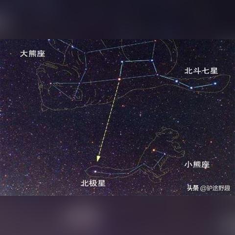 北极星广告联盟，引领数字营销新航向