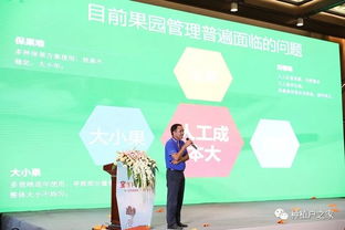 乐天联盟，携手共创未来，共筑梦想新篇章