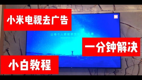 一键上网广告联盟，开启高效网络营销的新篇章