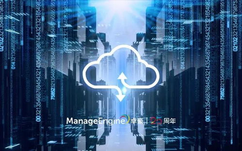 911广告联盟，重塑数字营销新生态的领航者