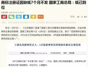 深度剖析广告联盟测评，揭秘真相，助你精准选择