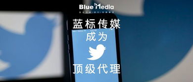 广告联盟评测网，揭秘行业真相，助你精准投放广告