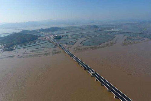 互易中国，重塑数字经济的桥梁与纽带
