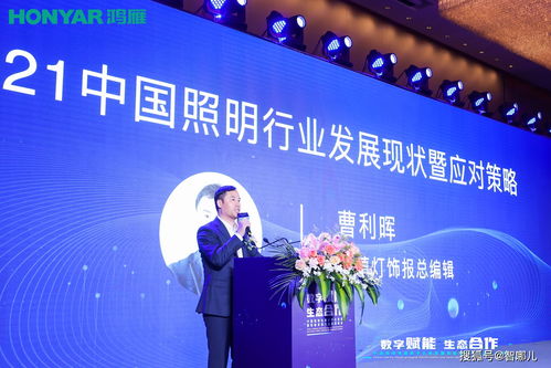 114联盟，重塑行业生态，引领数字化转型新篇章