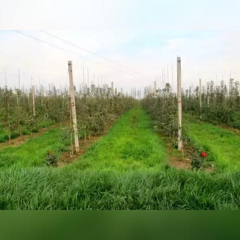 草根联盟，汇聚微小力量，共筑社会大梦想