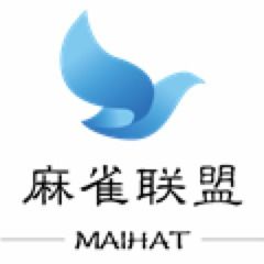 无网站广告联盟，重塑网络营销生态的纯净力量
