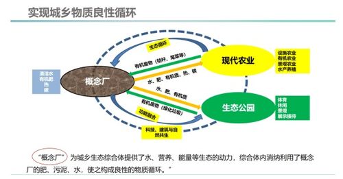 探索LinkBucks，从概念到实践的全方位解析