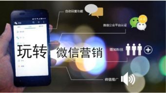 深度剖析广告联盟评测，揭秘高效推广的秘诀与陷阱