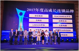 站长学院，打造个人品牌，引领数字时代内容创业新风尚