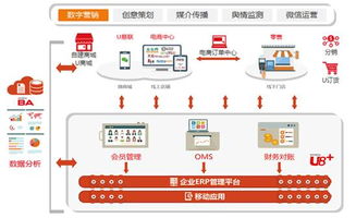 58广告联盟，打造高效营销渠道，引领数字时代广告新风尚