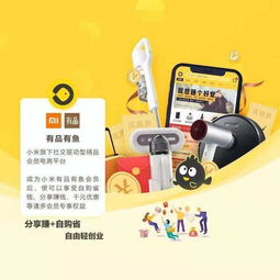 揭秘App推广联盟，如何高效利用资源，实现双赢共赢