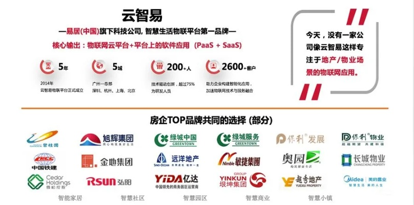 中易广告联盟，重塑数字营销新生态的领航者