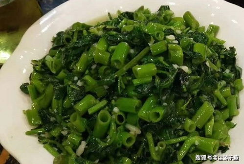 揭秘点击网赚，真相、风险与合法赚钱之道
