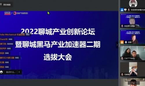 黑马联盟，揭秘互联网创业的黑马如何逆袭成王