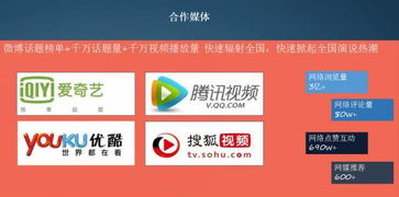 爱推联盟，携手共创数字营销新纪元