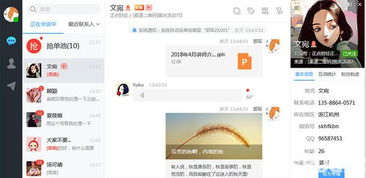 Kooip网站流量联盟，打造高效网络营销的必备工具