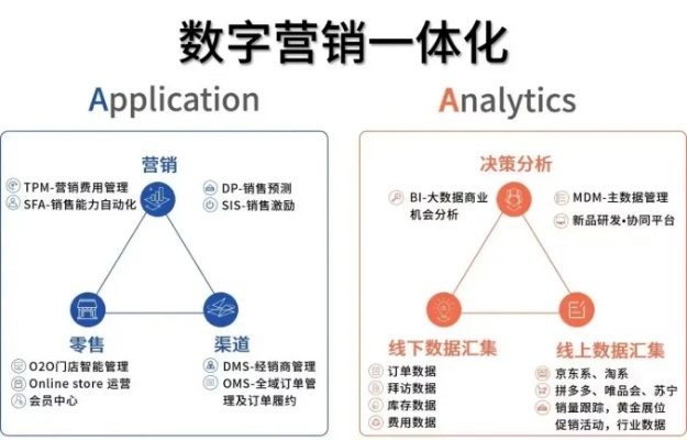 网告传媒，重塑数字时代营销新生态