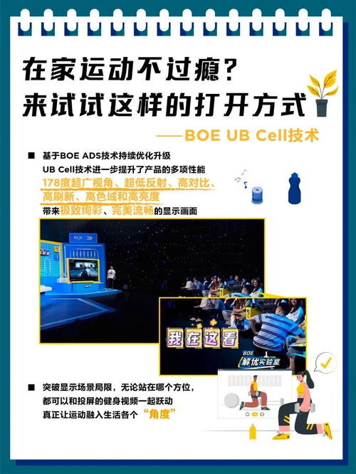 蜘蛛广告联盟，重塑数字营销新生态的革新力量