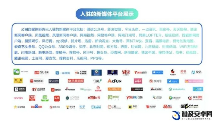 金奇传媒，创新引领传媒变革，打造数字时代新标杆