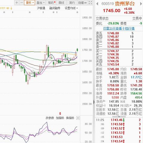 356广告联盟，打造高效广告投放，引领数字营销新时代