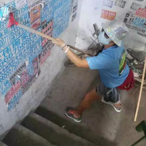 681广告联盟，打造高效广告投放，助力企业精准营销