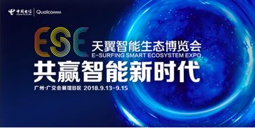 宏志广告联盟，携手共创未来，共赢数字时代广告新篇章