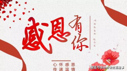 一生一世交友联盟，缔结永恒情谊，共筑人生辉煌