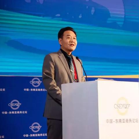 半袋米广告联盟，重塑数字营销新生态的先锋力量