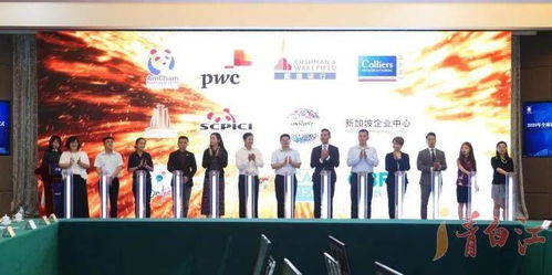 博讯联盟，重塑信息时代的合作与共赢