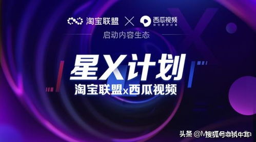 2013联盟，重塑数字时代的合作与共赢