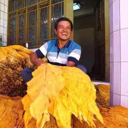 黄金联盟，重塑全球金融秩序的新篇章