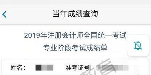 揭秘CPA58交友广告联盟，一场虚拟社交的财富与风险交织之旅