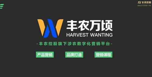 熊猫广告联盟，重塑数字营销新生态
